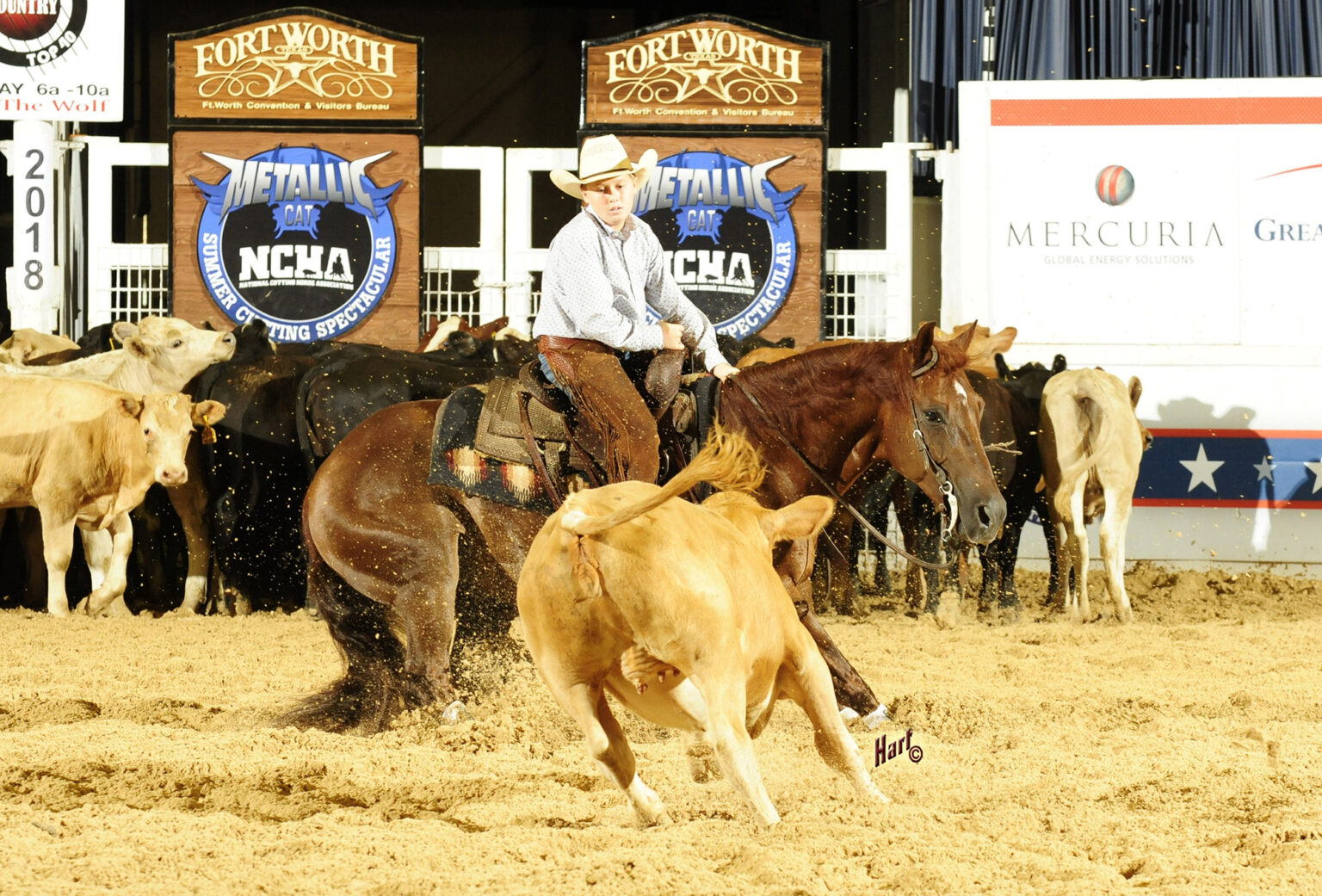 2025 NYCHA Horse Hall of Fame – National Youth Cutting Horse Association